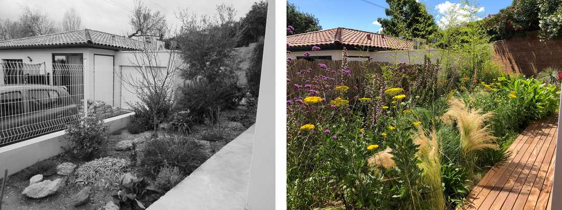 Avant-après de l'aménagement d'une petit jardin dans un lotissement par un paysagiste en Haute-Savoie