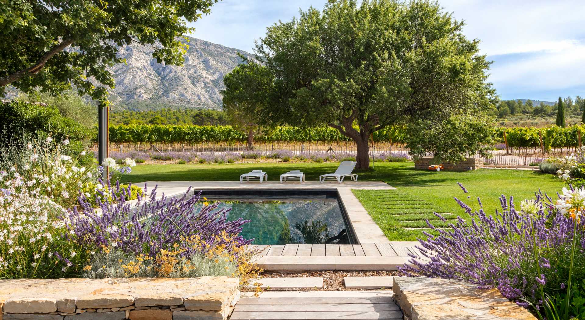 Jardin provençal avec piscine aménagée par un architecte paysagiste