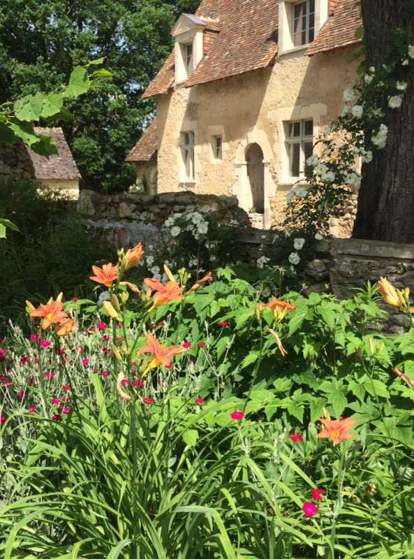 Fleurs d'orangés dans un jardin en Haute-Savoie