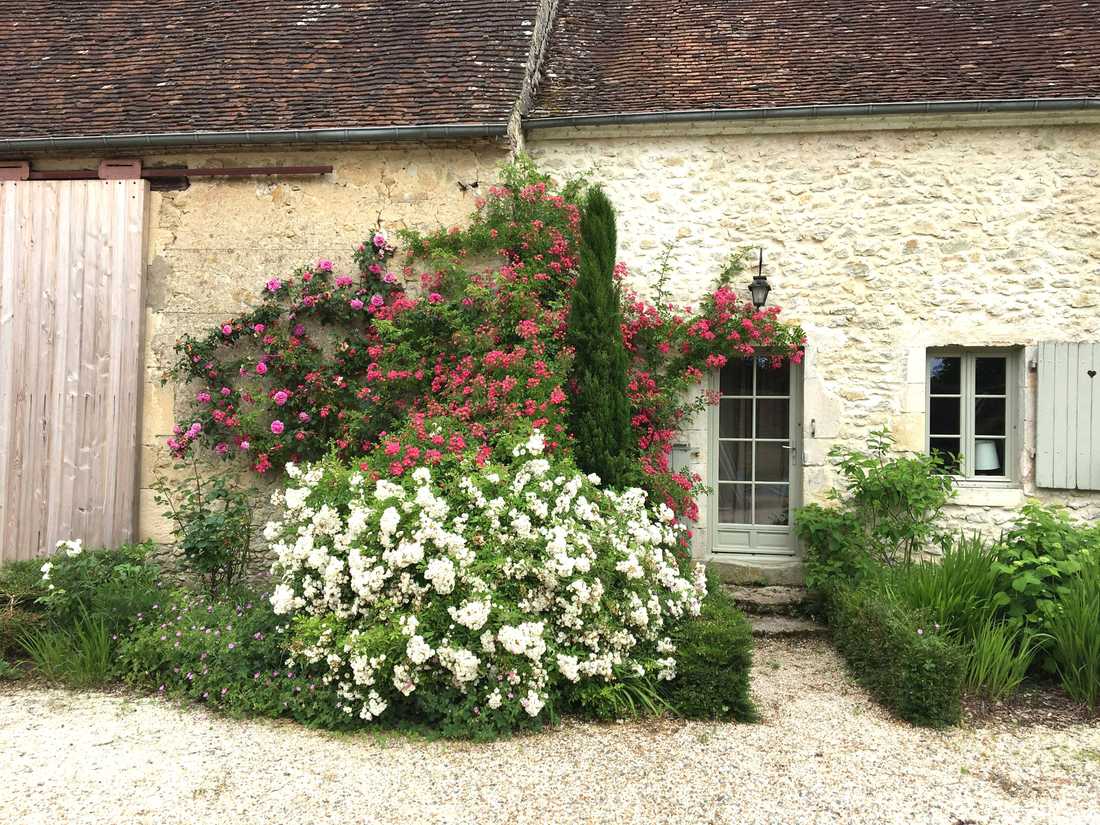 Jardin d'une maison ancienne à Annecy