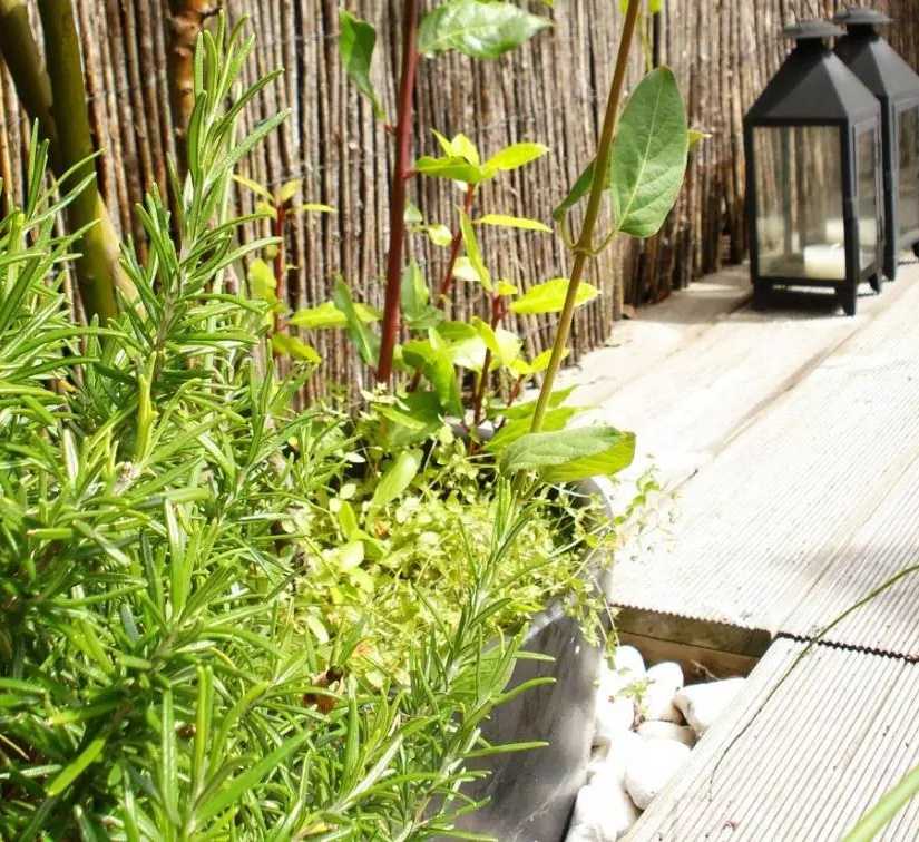 Végétalisation d'un toit-terrasse par un architece paysagiste en Haute-Savoie