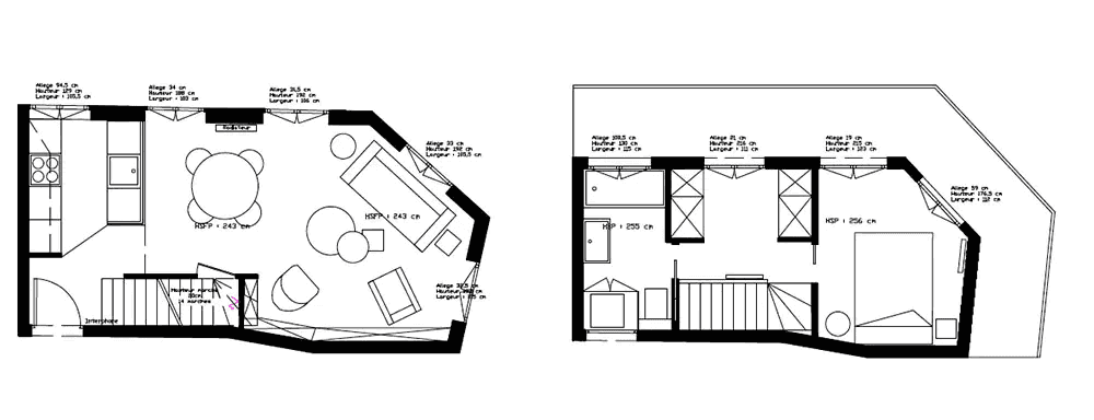 Plan de l'architecture intérieur d'un duplex à Annecy